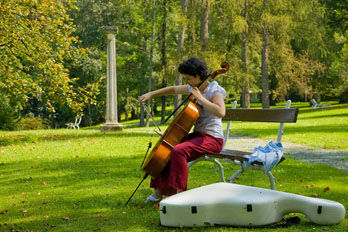 Vila Bled Music Forum